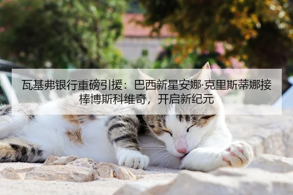 瓦基弗银行重磅引援：巴西新星安娜·克里斯蒂娜接棒博斯科维奇，开启新纪元